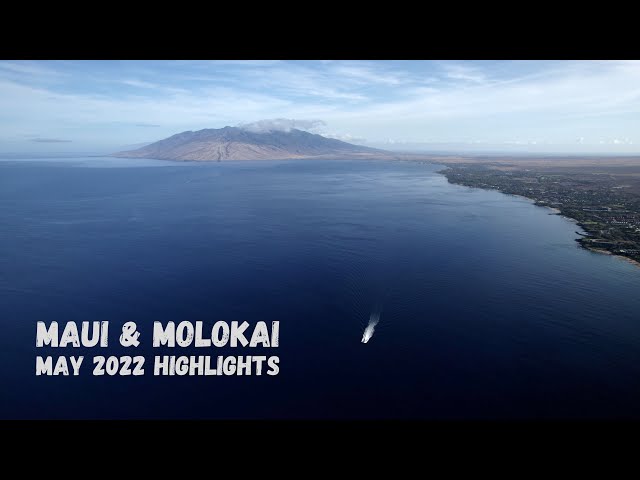 Diving Maui in 2022 with Lahaina Divers (4K Underwater Cinematic)