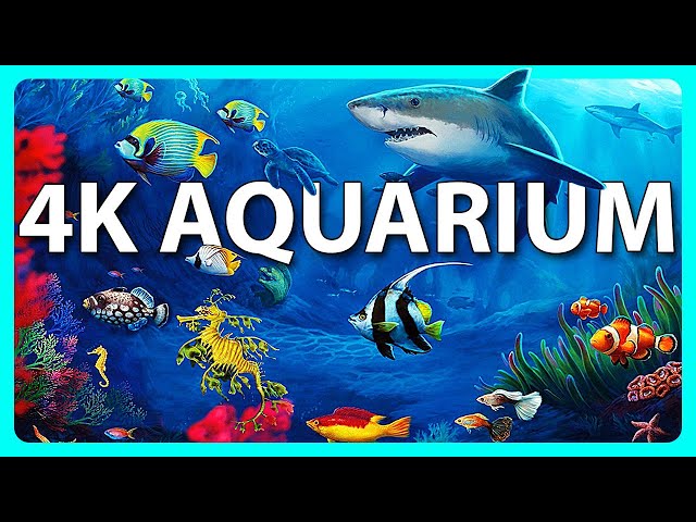 The Best 4K Aquarium for Relaxation 🐠 Relaxing Oceanscapes - Sleep Meditation 4K UHD Screensaver