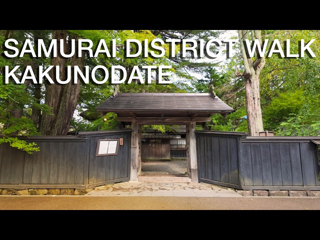 Walking the ancient Samurai district in Kakunodate!