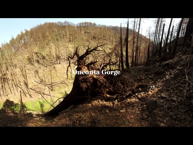 360 Video: The Eagle Creek Burn One Year After The Fire