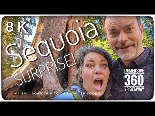 Sequoia Surprise: 🌲😮🌲Will We Make It? 8K Cali to Canada Episode 2