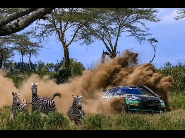 WRC SAFARI RALLY NEAR DEATH EXPERIENCES😲😲| THE WILDLIFE SCENES ARE INCREDIBLE