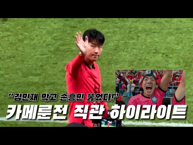 "김민재 막고 손흥민 뚫었다!" 카메룬전 직관 현장