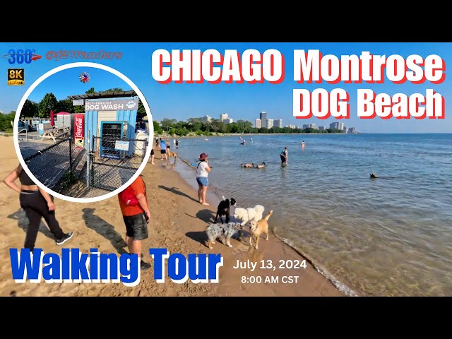 360 8K VR - Chicago Montrose DOG Beach Walking Tour - U.S.A