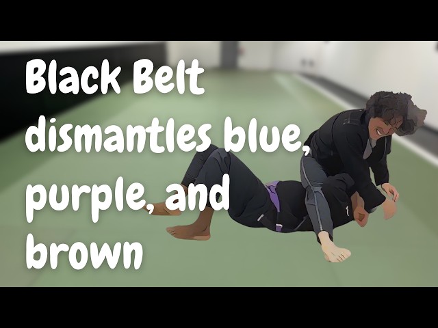 Black Belt Takes on Blue, Purple, and Brown Belts