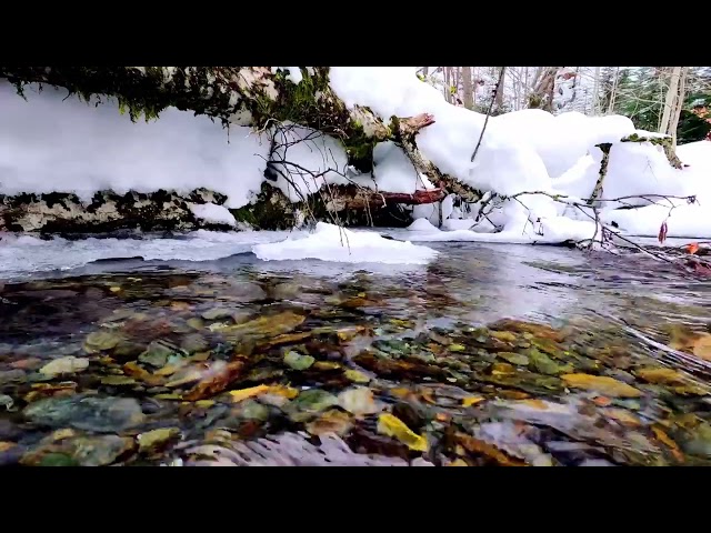 Sounds of the river for sleep