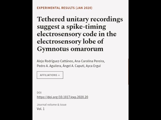 Tethered unitary recordings suggest a spike-timing electrosensory code in the electro... | RTCL.TV