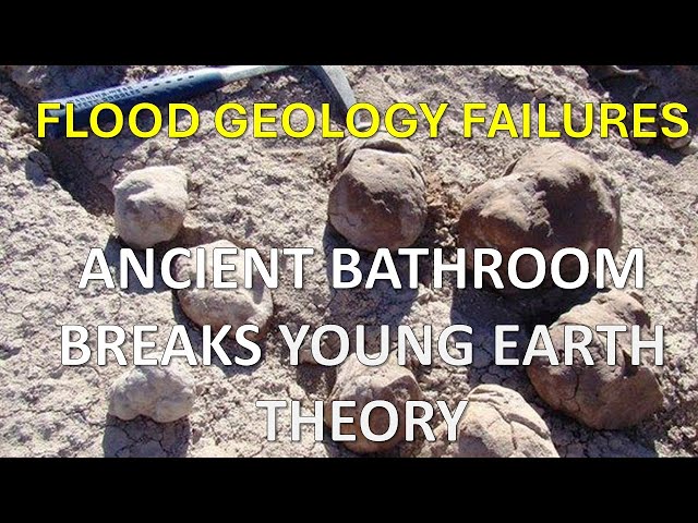 Why Ancient Poop Fossils Challenge Noah's Flood