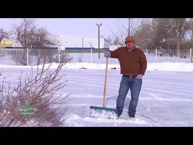 Water Conservation with Snow Shoveling | From the Ground Up