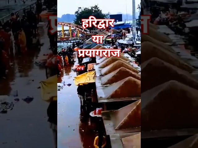 #हरिद्वार #haridwar #pryagraj #mahakumbh2025 #shortsfeed #shorts #ytshorts