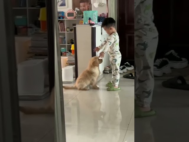 Kids and Dog Love ❤️🐶 | Heartwarming Friendship | #KidsAndDog #CuteMoment #UnivibesOfficial