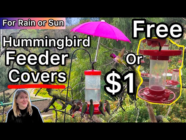 FREE DIY or Cheap Hummingbird Feeder Cover for Rain / Shade Hummingbirds LOVE & How to Make Nectar