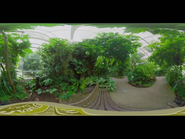 Magic Wings Butterfly House at the Museum of Life + Science in 360°