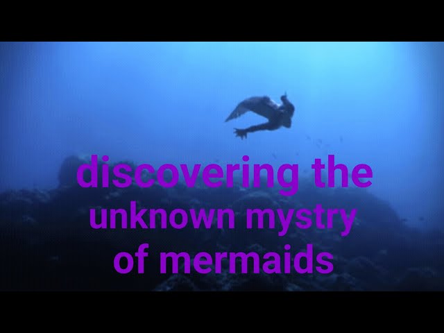 discovering the unknown mystry of mermaids