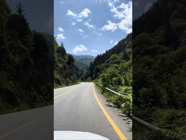 Driving on Green Mountain Roads #green #mountains #road #roadtrip #trabzon #türkiye