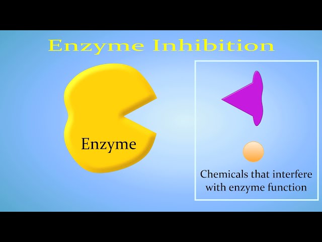 Enzyme Inhibition (Competitive vs. Non-Competitive/Allosteric)