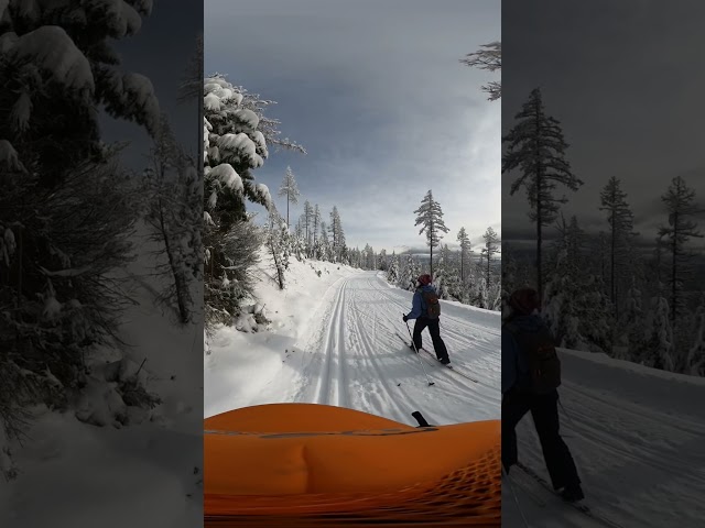 Skiing on Blacktail Mountain Nordic Ski Trails, near Lakeside, Montana. #mountains #montana #snow