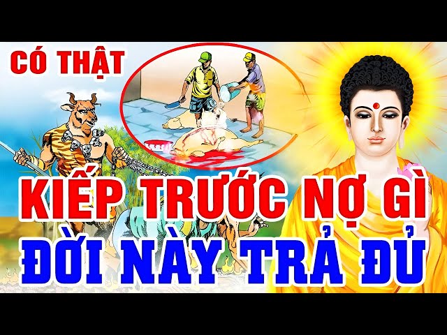 Chuyện Nhân Quả Phật Giáo, Báo Ứng 3 Đời Kiếp Trước Nợ Gì ĐỜI NÀY Phải Trả _ Nghe Để Tránh | Quả Báo