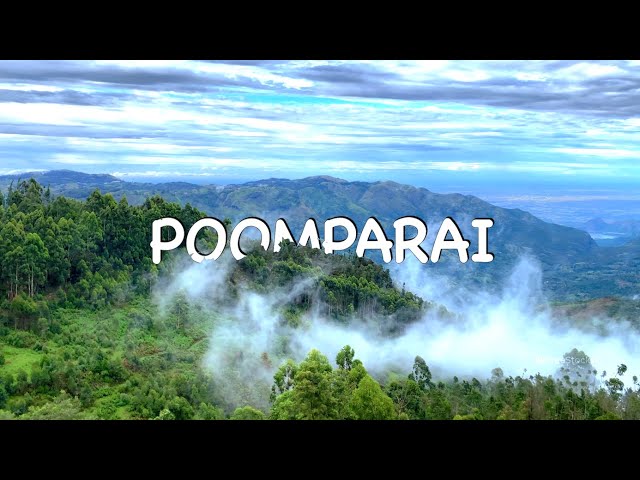 4K Ultra HD: Misty Poomparai View Point | Serene Nature Escape for Relaxation