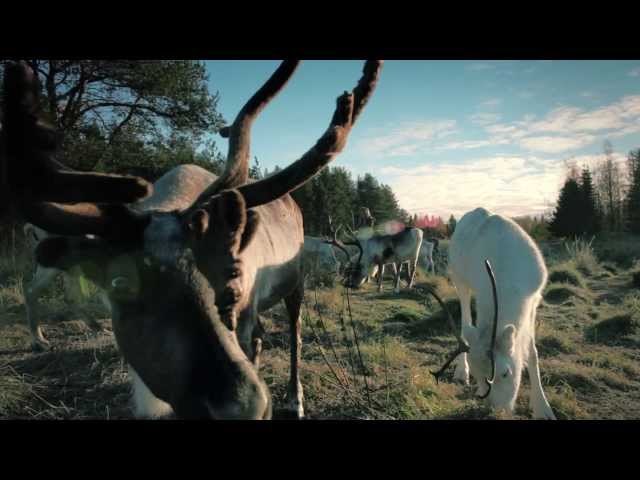 Napapiirin retkeilyalue - Summer Activities at the Arctic Circle