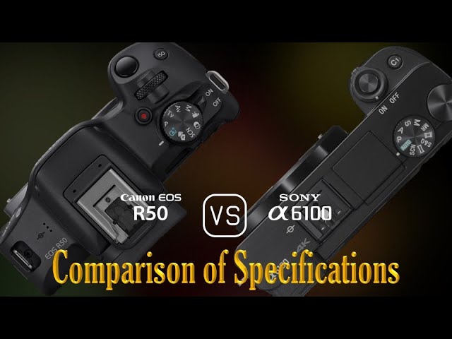 Canon EOS R50 vs. Sony A6100: A Comparison of Specifications