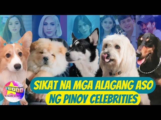 Sikat na mga Alagang Aso ng Pinoy Celebrities