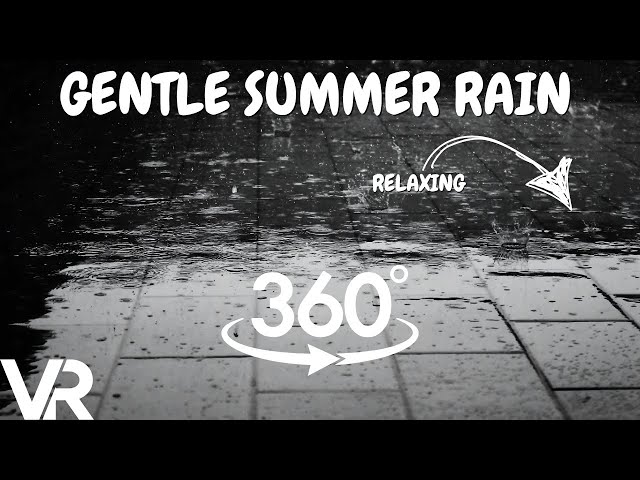 Experience a Gentle Rainstorm in 360 VR in 8K