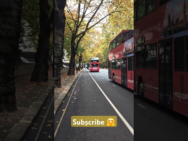 #London #GB #Autumn #travel #solotravel #lifeintheuk