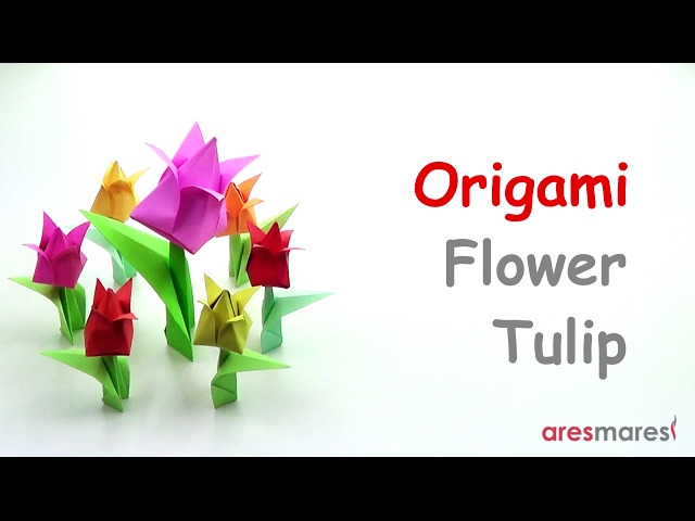 Origami Flower - Tulip (easy - modular)