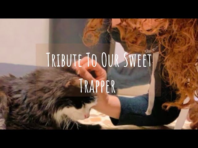 OUR TRIBUTE TO OUR BELOVED TRAPPER | AFTER 19 YEARS TOGETHER WE HAVE TO SAY GOODBYE