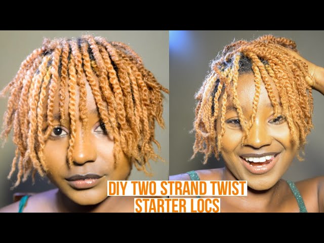 Two strand TWIST-DIY Starter Locs How to do it Yourself