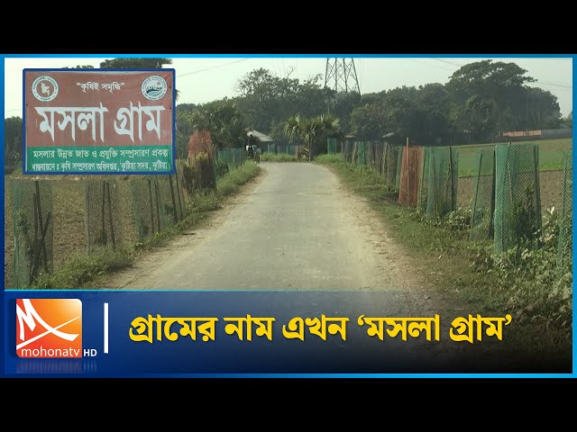 গ্রামের নাম এখন মসলা গ্রাম | Masala Gram | Mohona TV