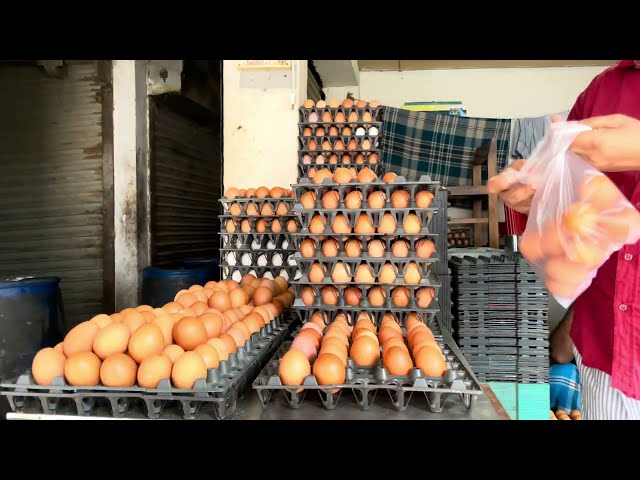 Eggs in Village Shop | Eggs Grocery Store | Royalty free stock video footage - No copyright | 4k