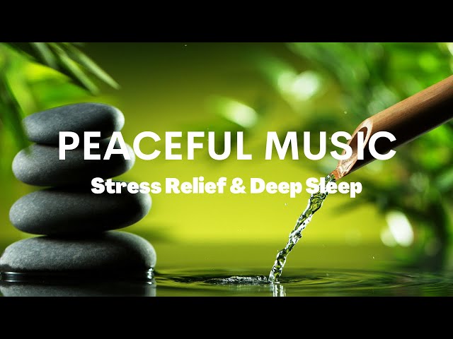 Serene Relaxation: Peaceful Music for Stress Relief & Deep Sleep