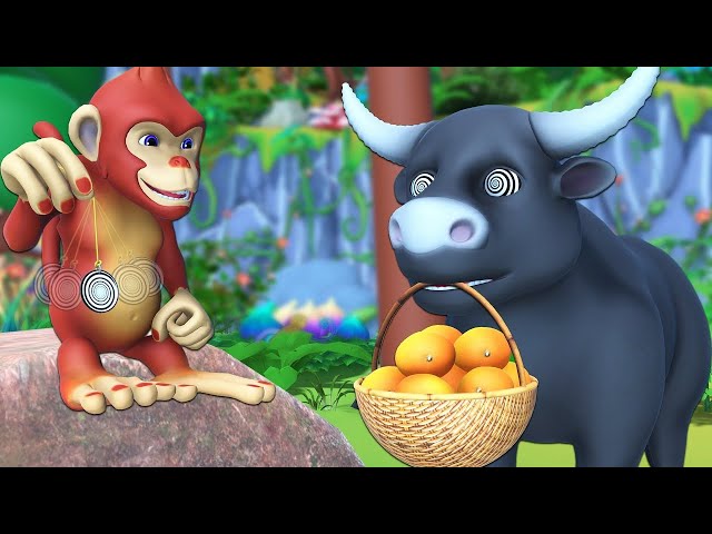 🔴LIVE🐂🐵Monkey Hypnosis Bull comedy adventure video || Crazy Monkey Funny cartoon videos compilation