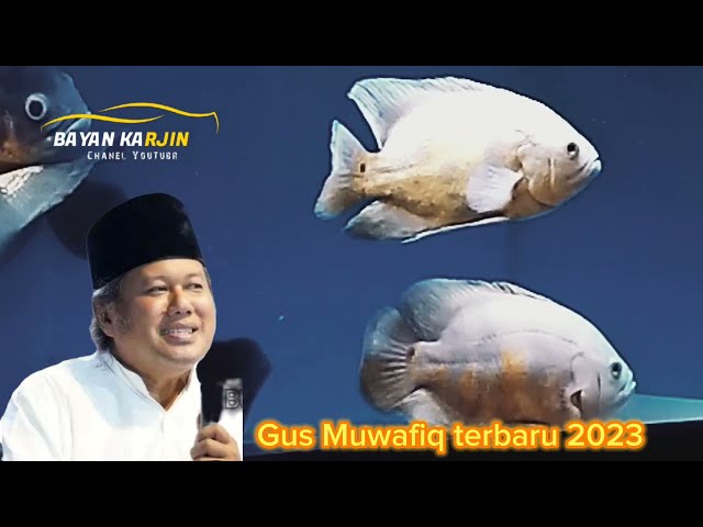 ikan di aquarium feat lirih ceramah gus muwafiq