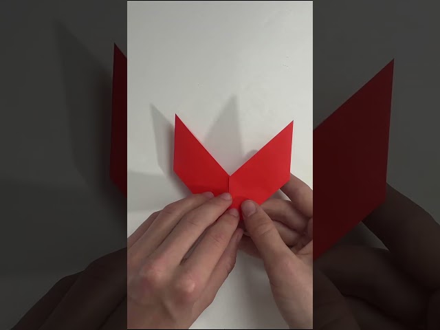 Origami Heart Timelapse (2024)