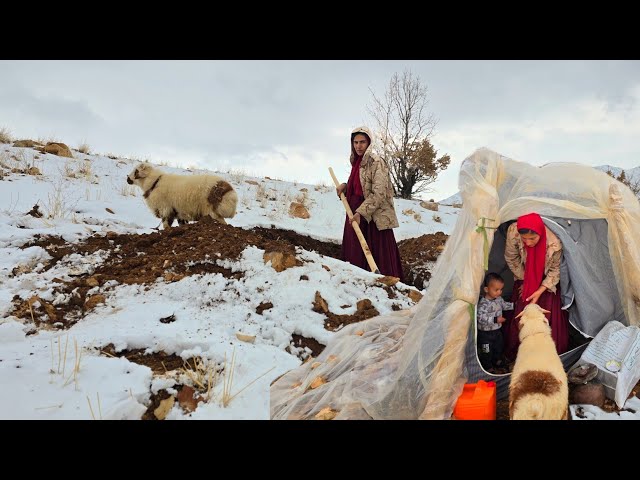 A nomadic mother's tent of hope: The story of the hard life of Shiva and her orphan child