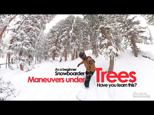 Snowboard under trees | Episode 36