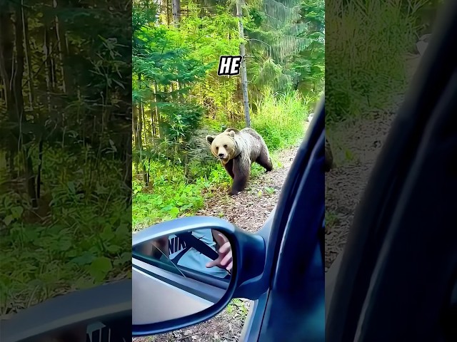 "Feeding a Wild Bear Gone Wrong! Shocking Outcome! 🐾😨"