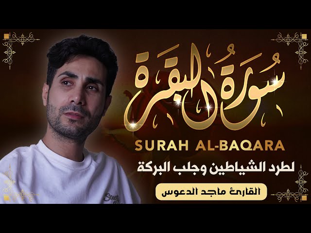 Surat Al Baqarah Heart Touching reaction | سورة البقرة | BEAUTIFUL RECITATION English Translation