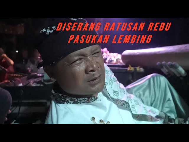 D'VLOG || DALANG DADAN TETAP SEMANGAT WALAU DISERANG RATUSAN RIBU EKOR LEMBING