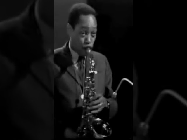 Who was Sonny Stitt? #bebop #bebopjazz #music #jazz  #jazzmusic #jazzsaxophone #jazzharmony