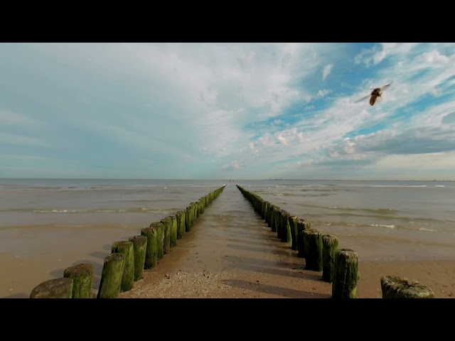 3D - Oculus - 180° Journey: Coastal Charm: Groede, The Netherlands with music