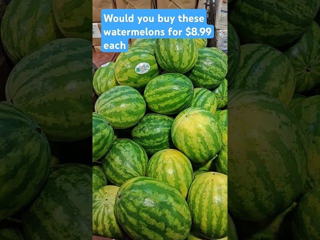 Are these #watermelons really worth $8.99? #shorts #short