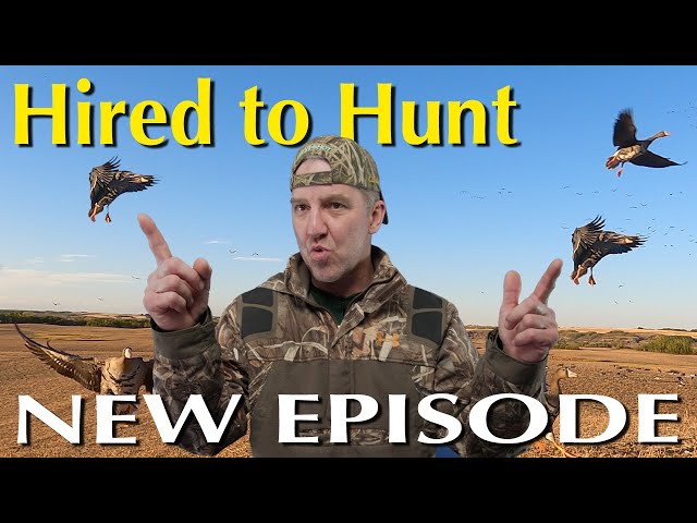 Alberta Duck and Goose Hunting: Hired to Hunt Specs, Canadas, Ducks and DiveBombs @divebombsquad