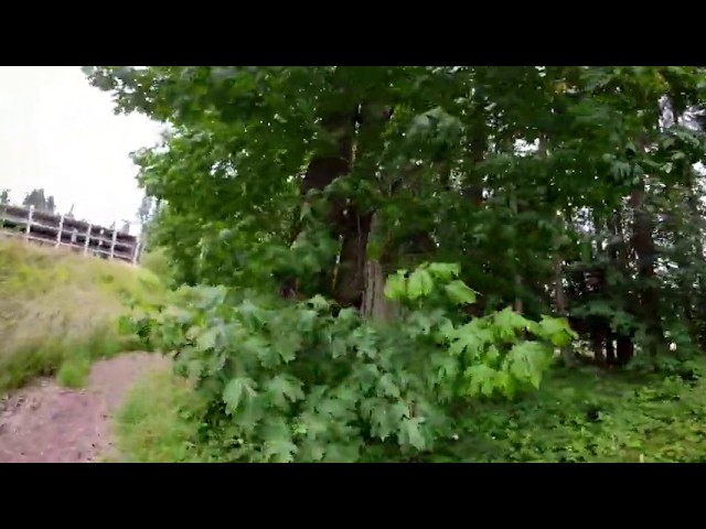 Unicycling Back Trail From Discovery Hall to Food Forest