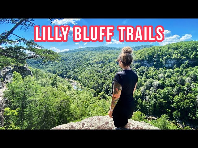 Hiking Lilly Bluff Trails above Obed Scenic River + Potter's Falls (Tennessee)