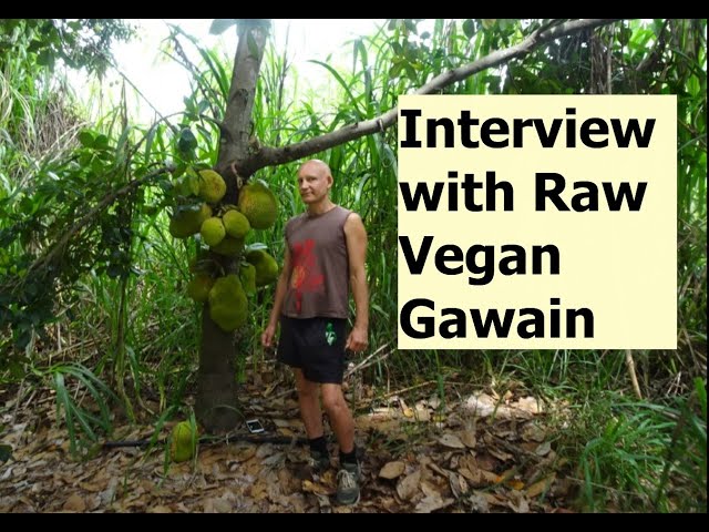 Gawain's Inspiring RAW Food Vegan Journey.