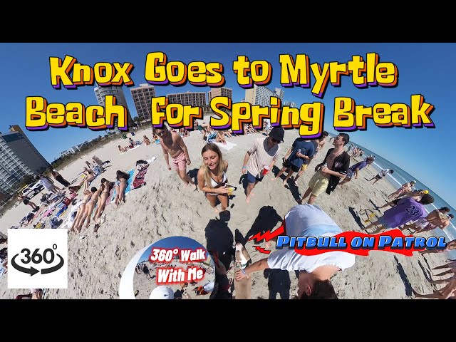 360° Dog Walk 🌟 Knox Goes to Myrtle Beach 🌟 Spring Break 2024 🌟 Pitbull Parties with Spring Breakers